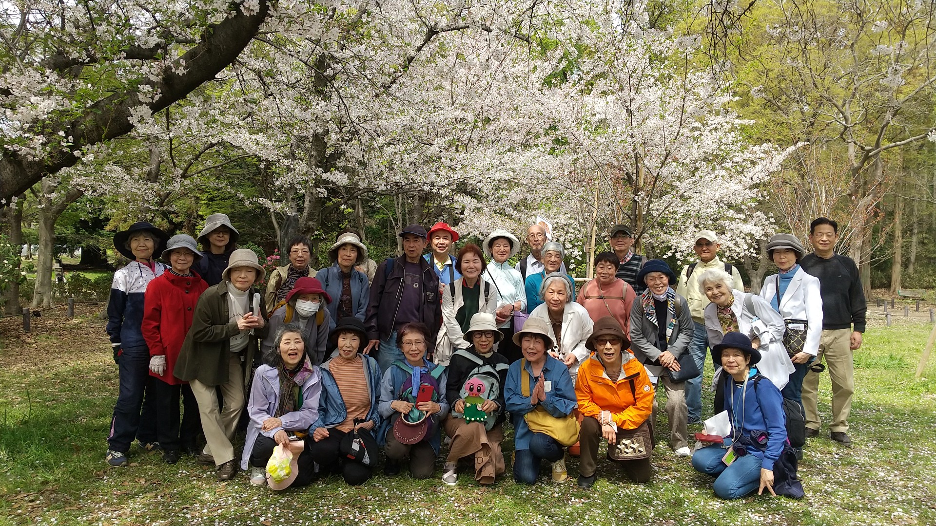 浅香山緑道のつつじと大和川水辺歩き